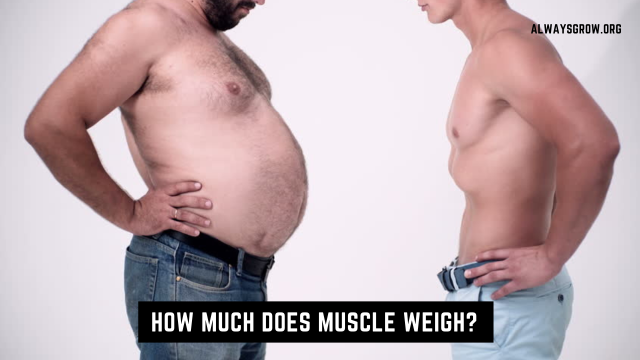 How Much Does Muscle Weigh 5 Ways 